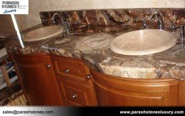 Petrified Wood Bathroom Counter