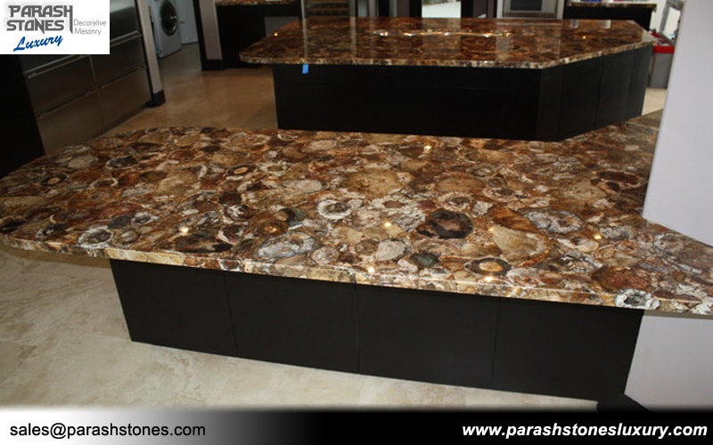 Petrified Wood Countertop