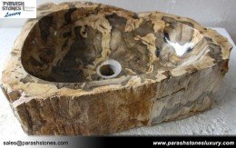 Petrified Wood Wash Basin