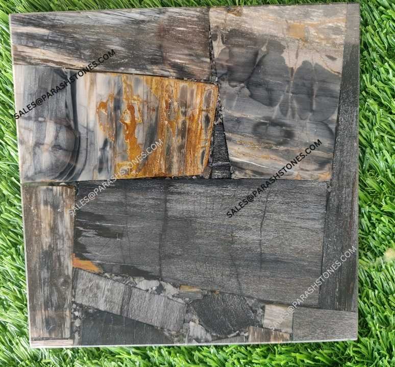 Black Petrified Wood Slab