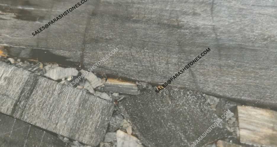 black petrified wood slab & surface-1