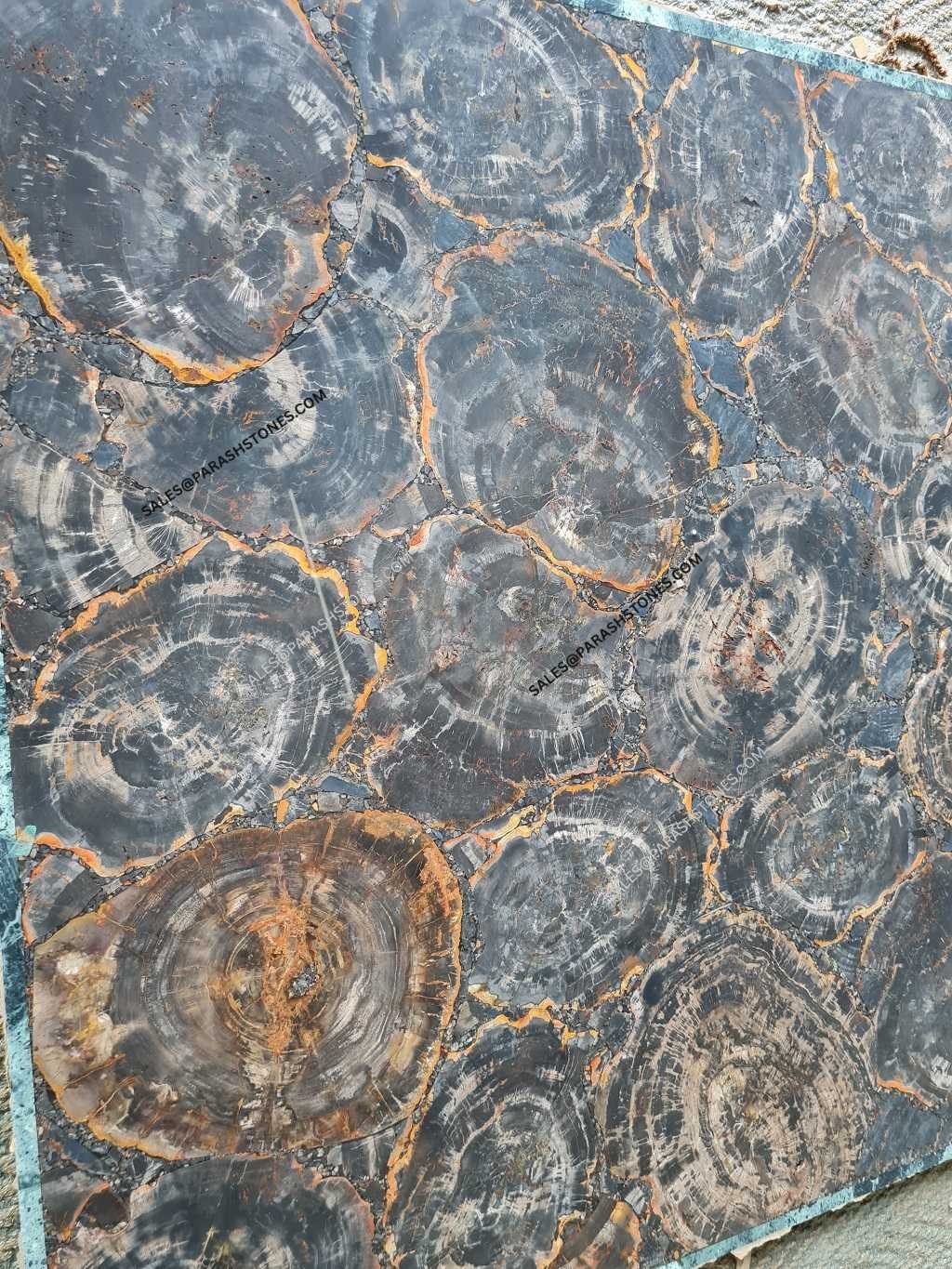 black petrified wood slab -2