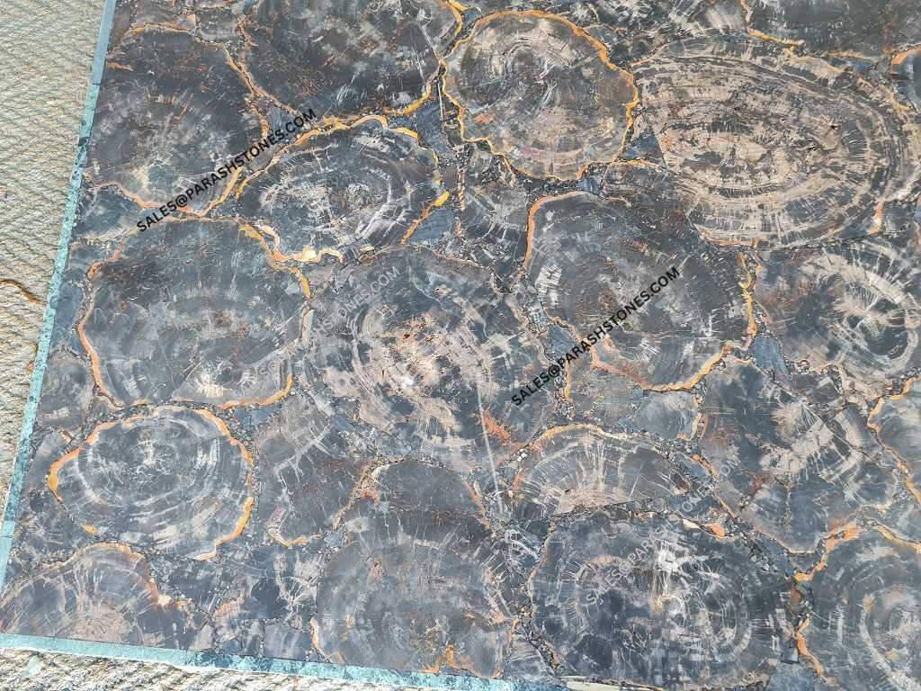 black petrified wood slab -3