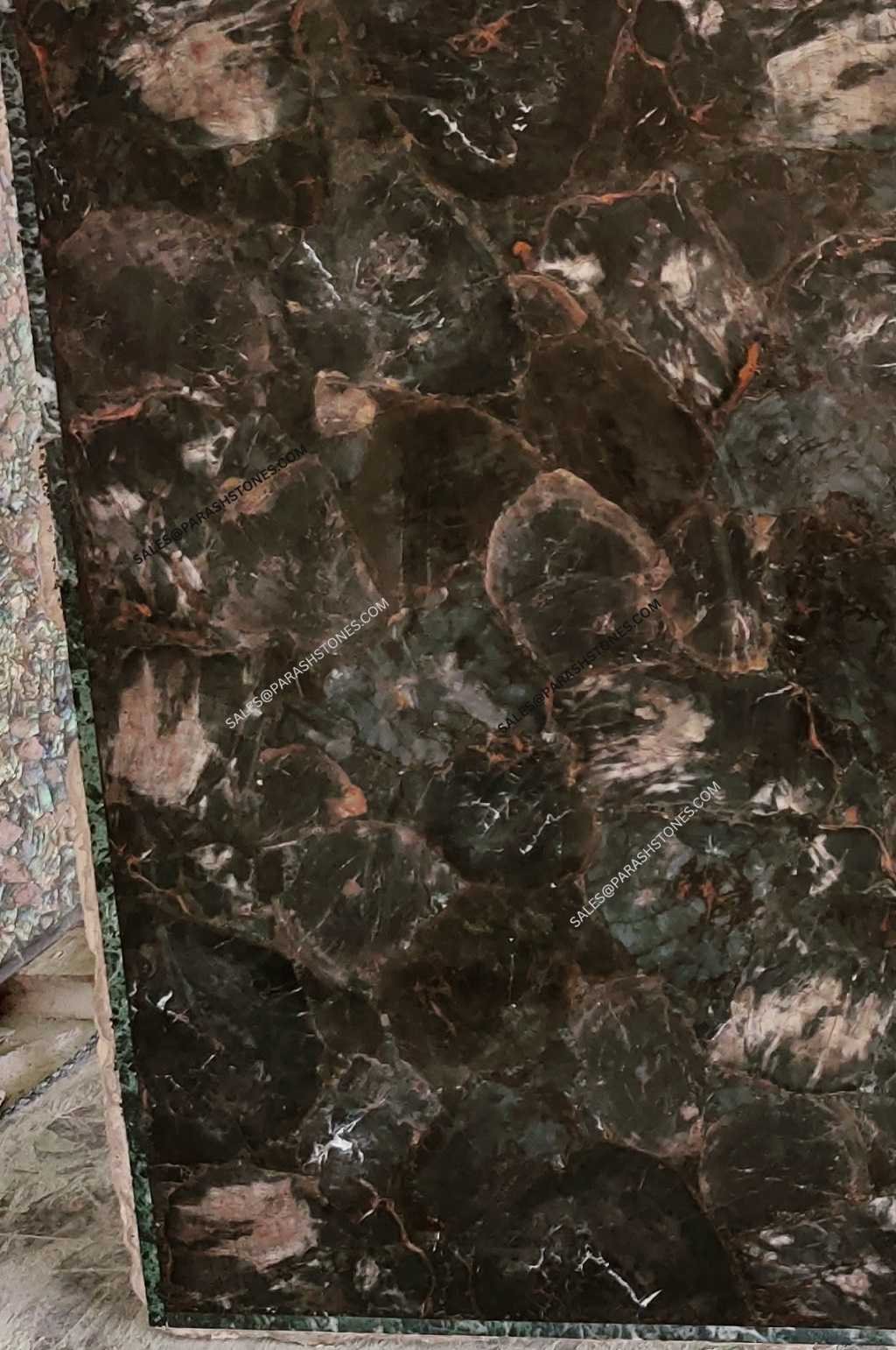 black petrified wood slab -4