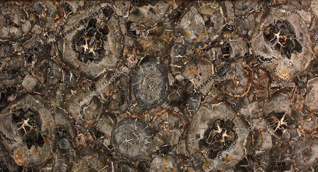 black petrified wood slab -6