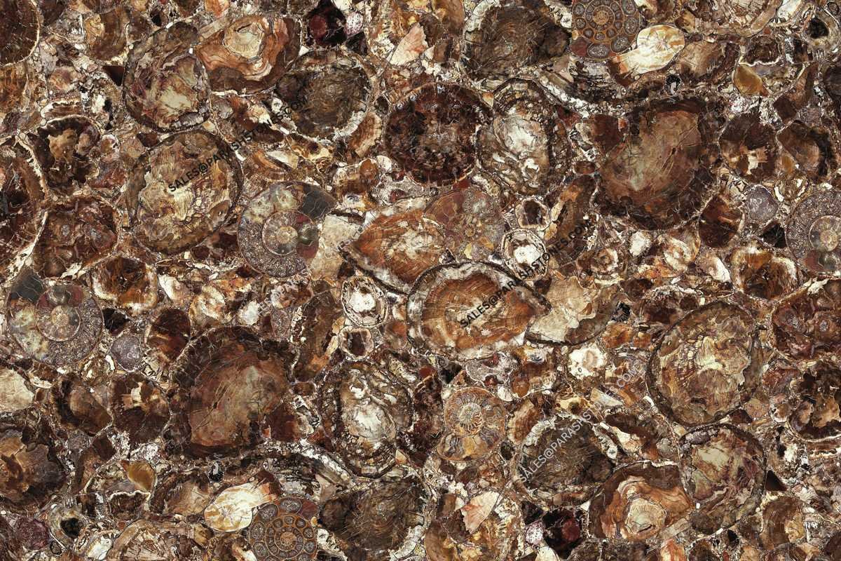 Brown-Petrified-Wood-Stone slab-2