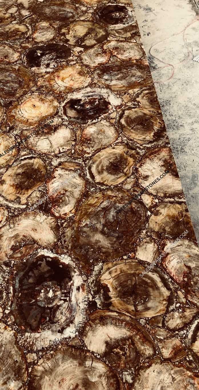 Brown-Petrified-Wood-Stone slab-3