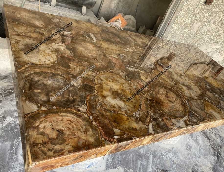 Brown-Petrified-Wood-Stone slab table top