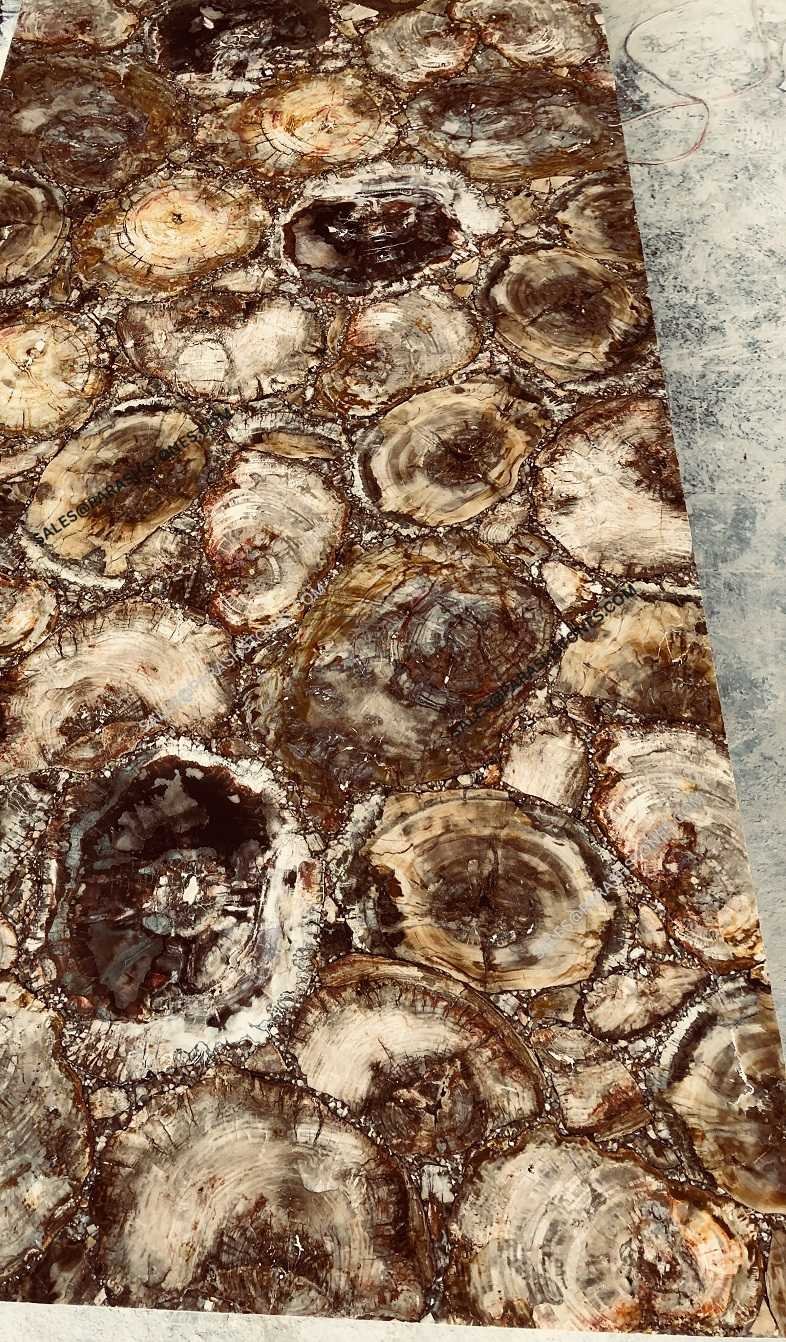 Brown-Petrified-Wood-Stone slab table top-1