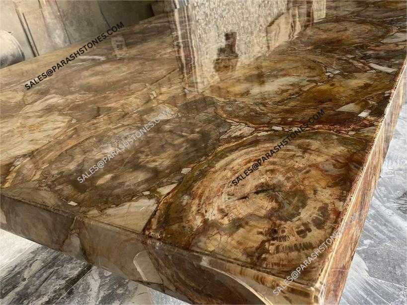 Brown-Petrified-Wood-Stone slab table top-surface