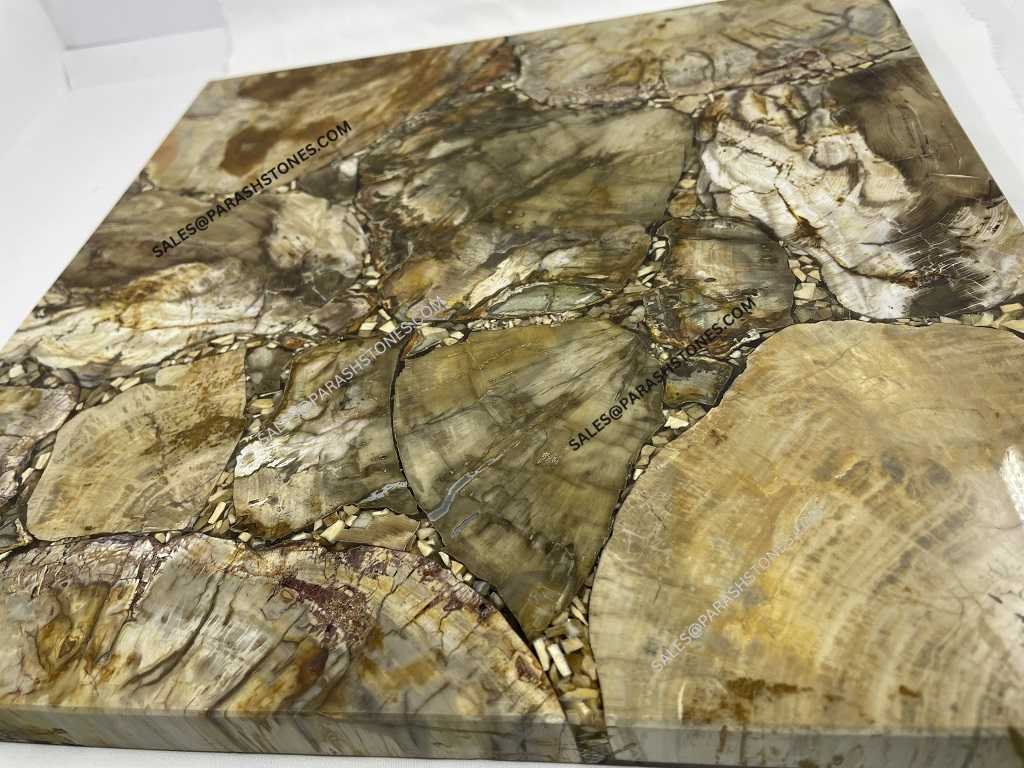 Brown-Petrified-Wood-Stone slab table top