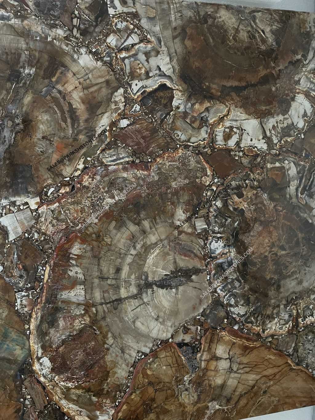 red petrified wood slab-6