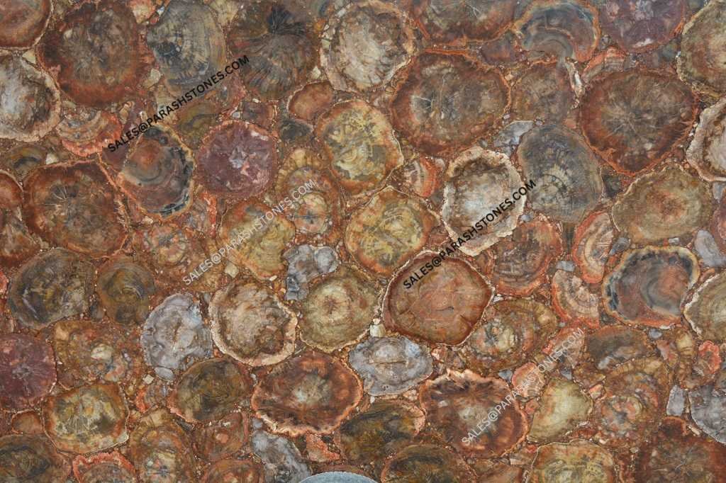 red petrified wood slab