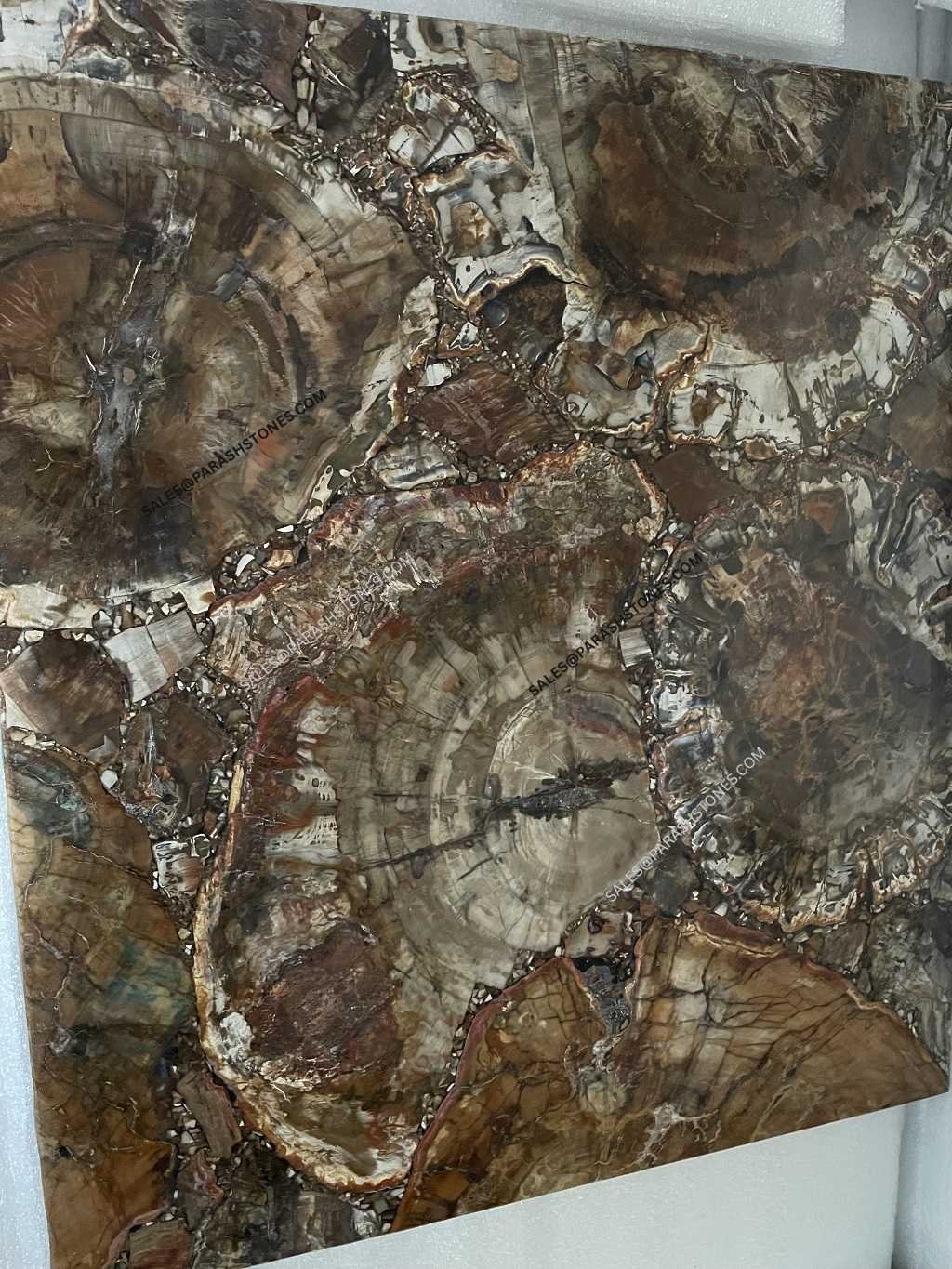 red petrified wood slab-2