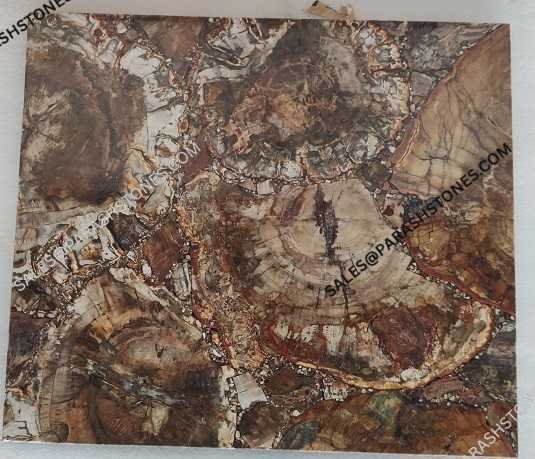 red petrified wood slab-3