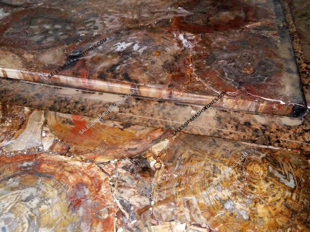 red petrified wood slab-4