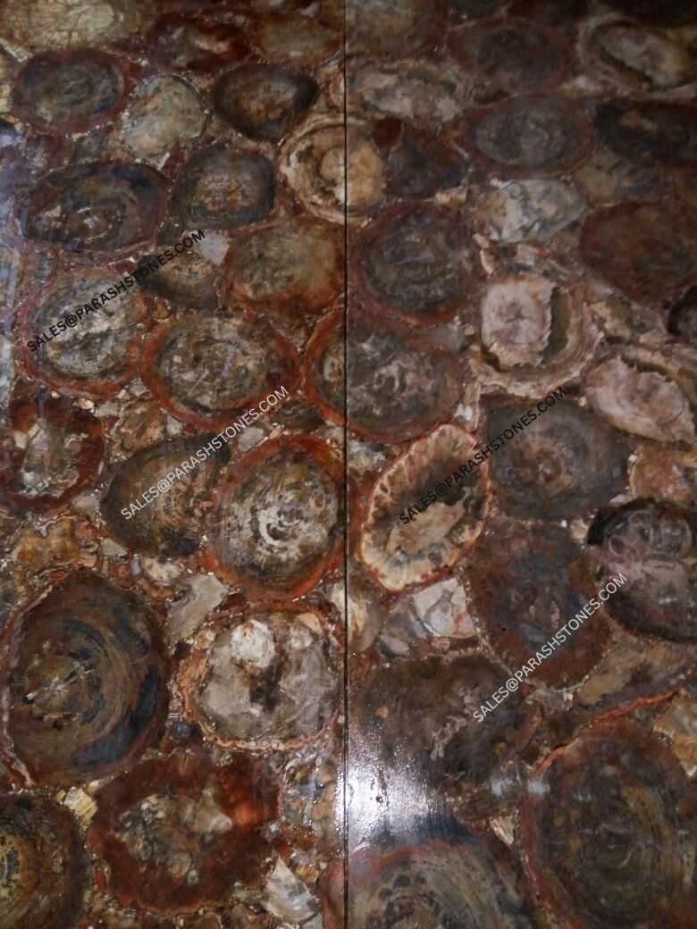 red petrified wood slab-5