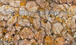 picture of yellow petrified wood slab, surface & tiles