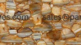 Brown Banded Agate tile with glossy finish