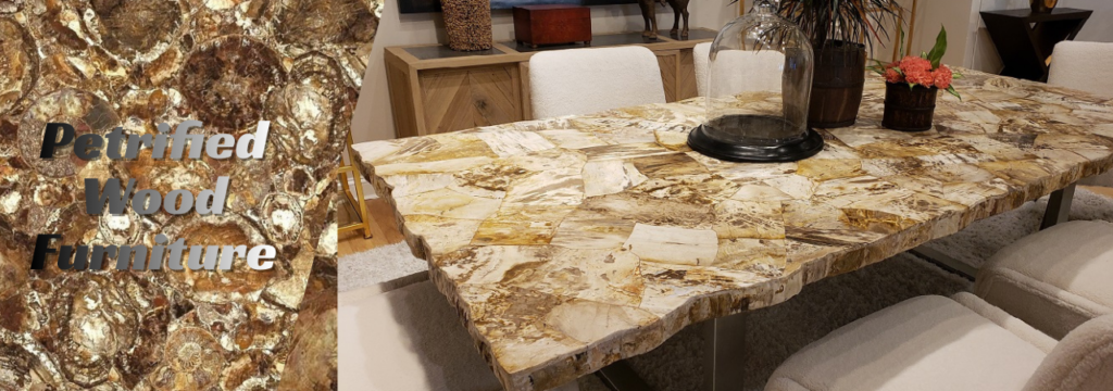 Petrified Wood Furniture